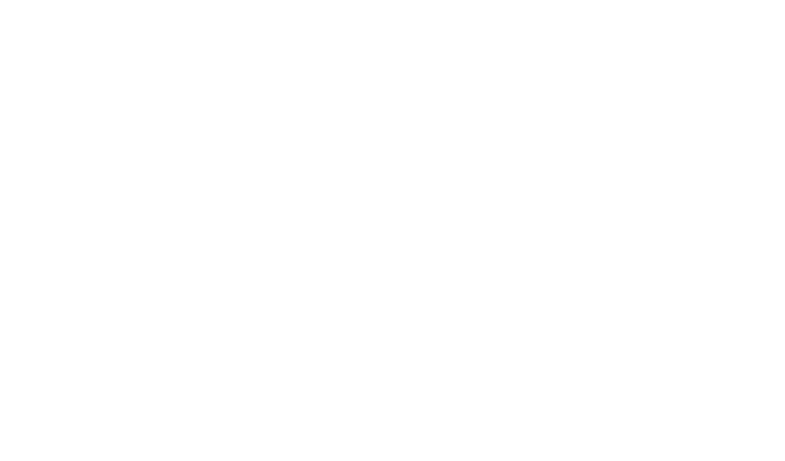 Frenoflex